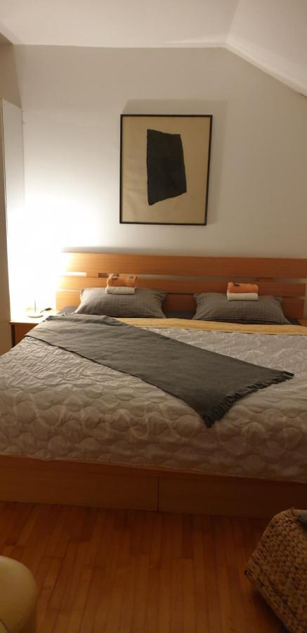 Vrnjačka Banja Apartments Bikica מראה חיצוני תמונה